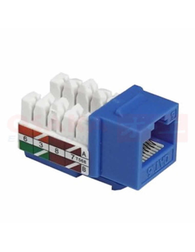 Imagen de Jack RJ45 CAT 6 Azul - vista lateral