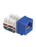 Imagen de Jack RJ45 CAT 6 Azul - vista lateral