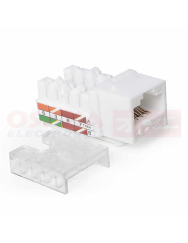 Imagen de Jack RJ45 CAT 6 Blanco - vista con complemento
